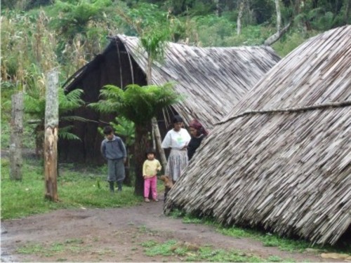 Carta aberta sobre terras indígenas no Brasil