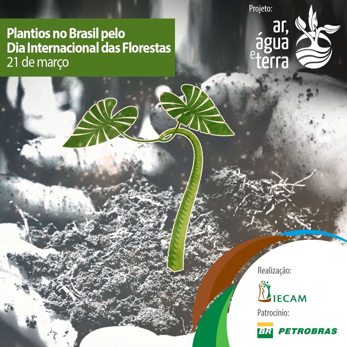 Plantios no Brasil pelo Dia Internacional das Florestas