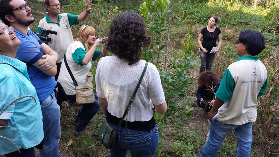 Sabedoria Guarani é compartilhada com visitantes em duas aldeias