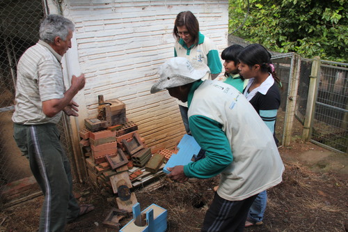Projeto do IECAM incentiva manejo de abelhas em aldeia