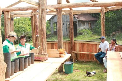 Indígenas da aldeia Pindoty aprendem a trabalhar no viveiro