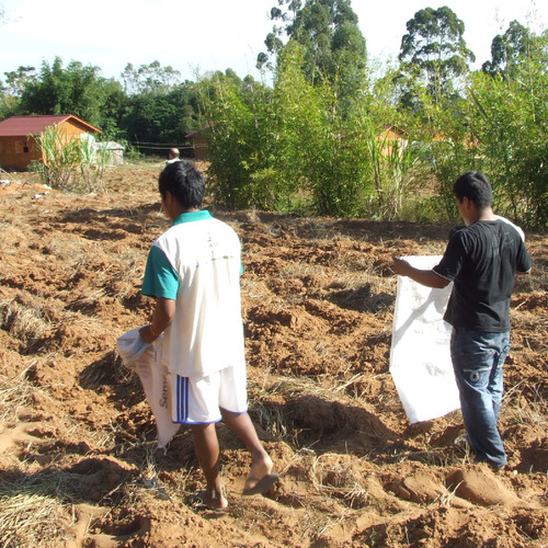 IECAM faz manejo das terras de aldeias guarani