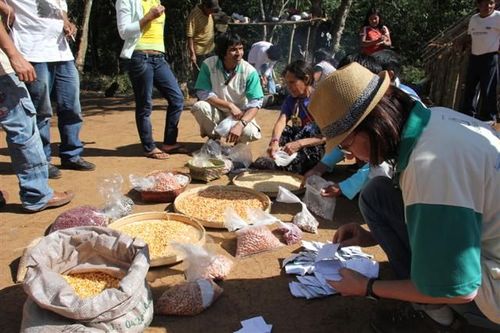 Aldeias discutem importância da agricultura Guarani