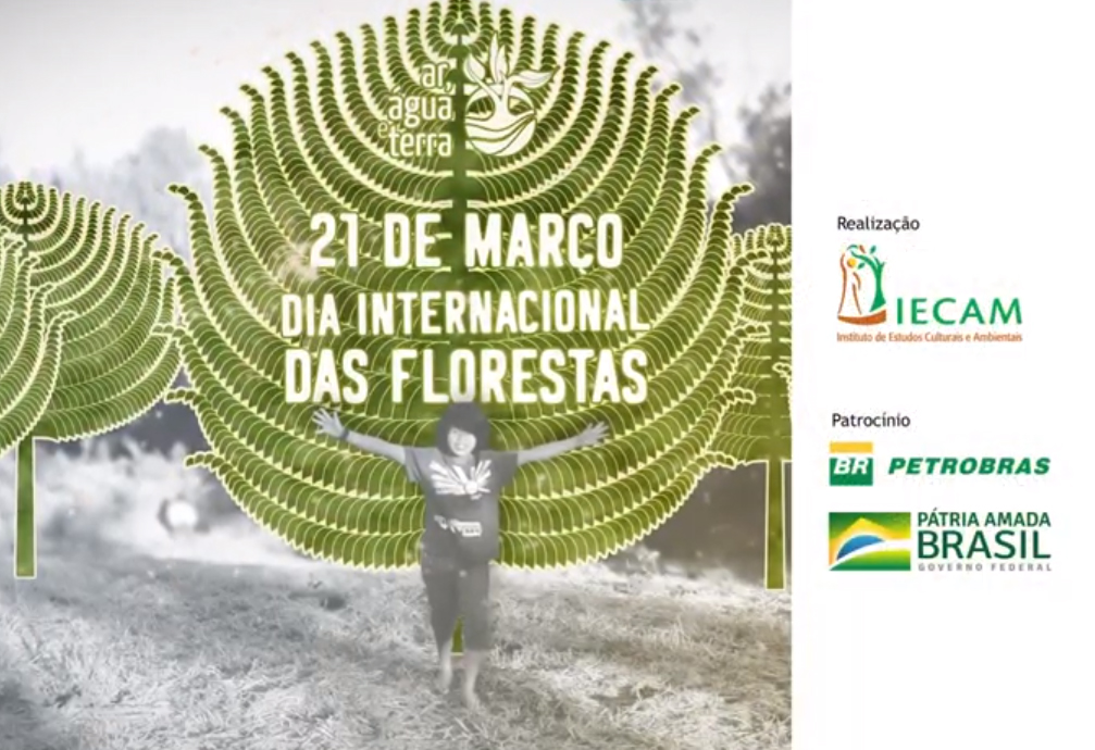 Dia Internacional das Florestas 2019