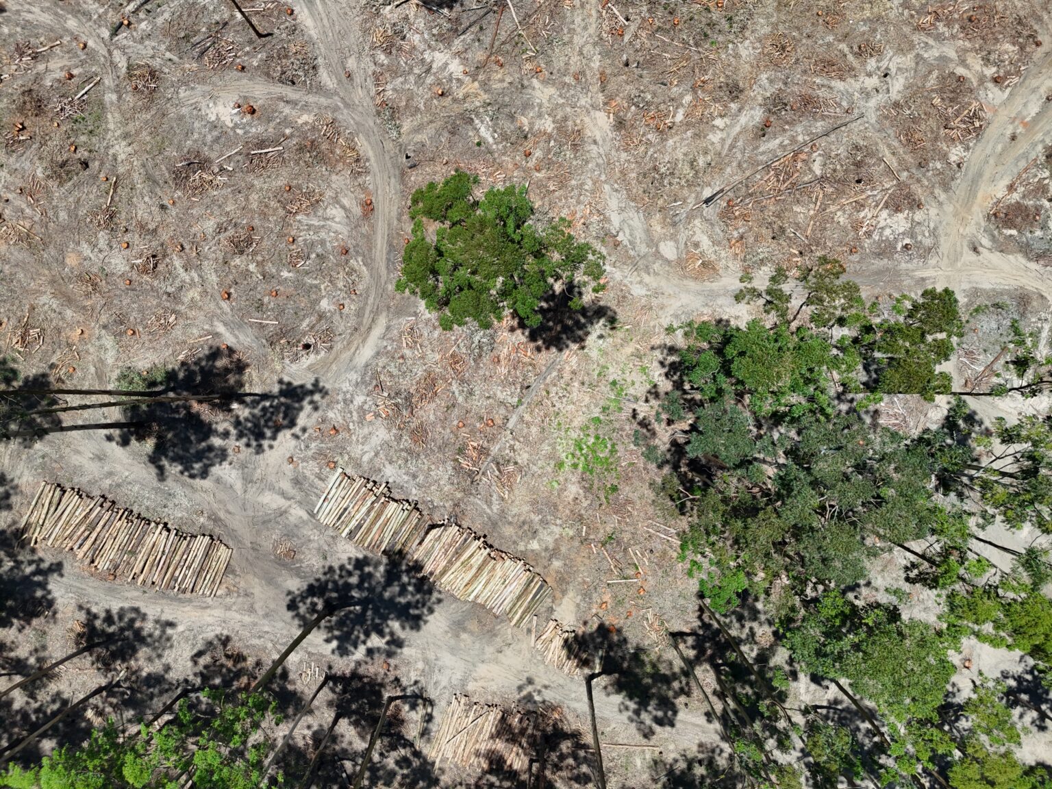 Os mapas de uso da terra e seus resultados