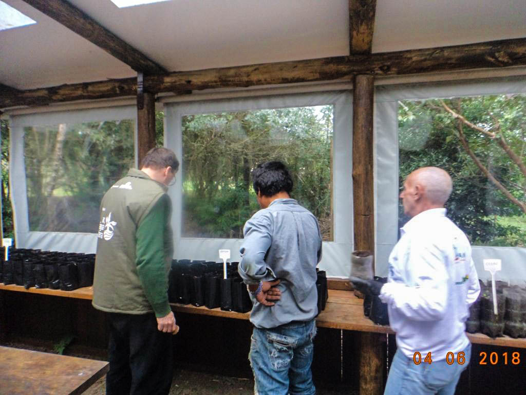 Trabalhos realizados no Viveiro da aldeia da Lomba do Pinheiro