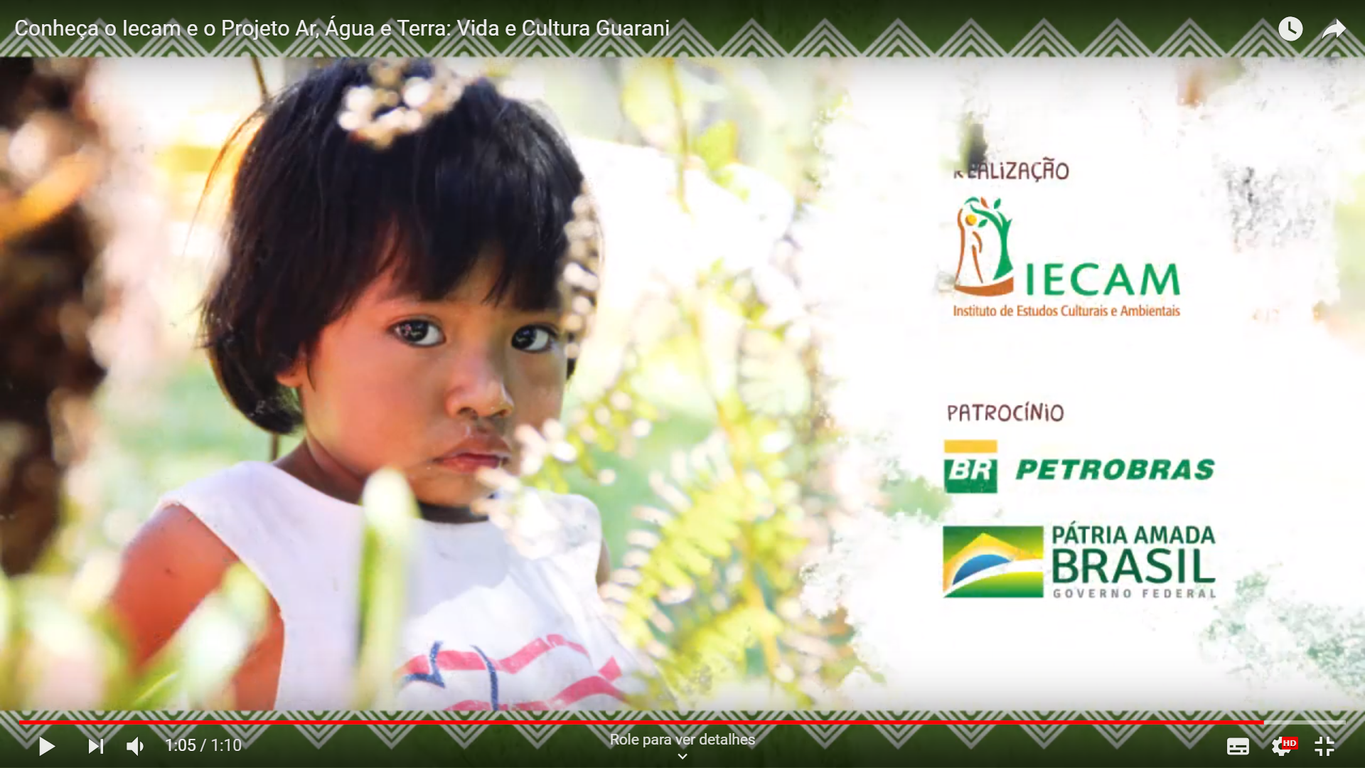 Vídeo | Conheça o Iecam e o Projeto Ar, Água e Terra: Vida e Cultura Guarani