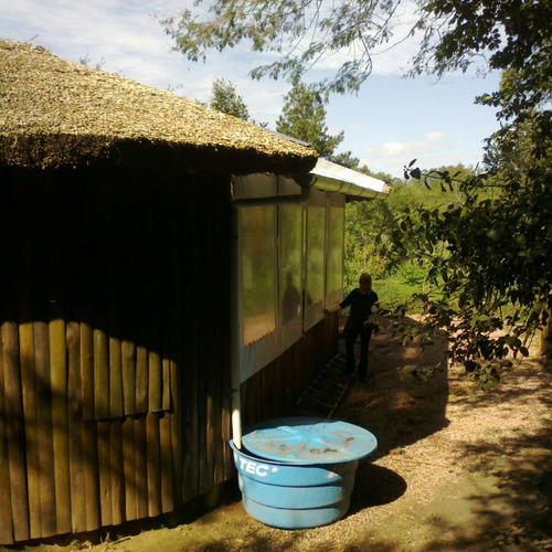 Ações simples buscam promover o desenvolvimento sustentável