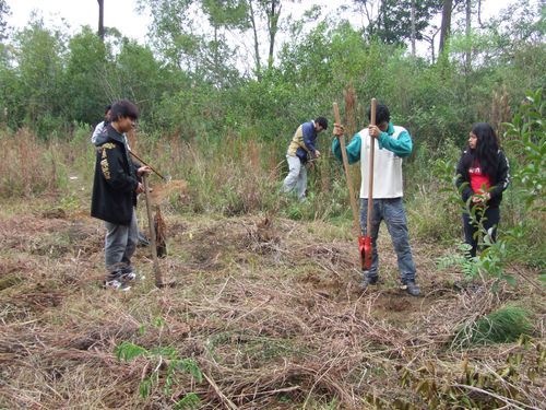 Escola guarani e IECAM trabalham na limpeza da aldeia