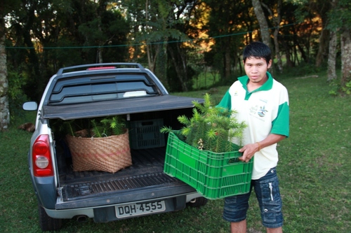 Mudas foram doadas para Aldeia Campo Bonito