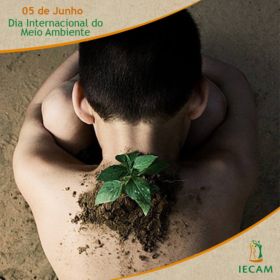 Dia Internacional do Meio Ambiente