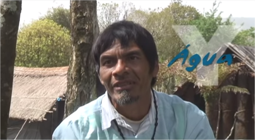 Dia Internacional das Florestas
